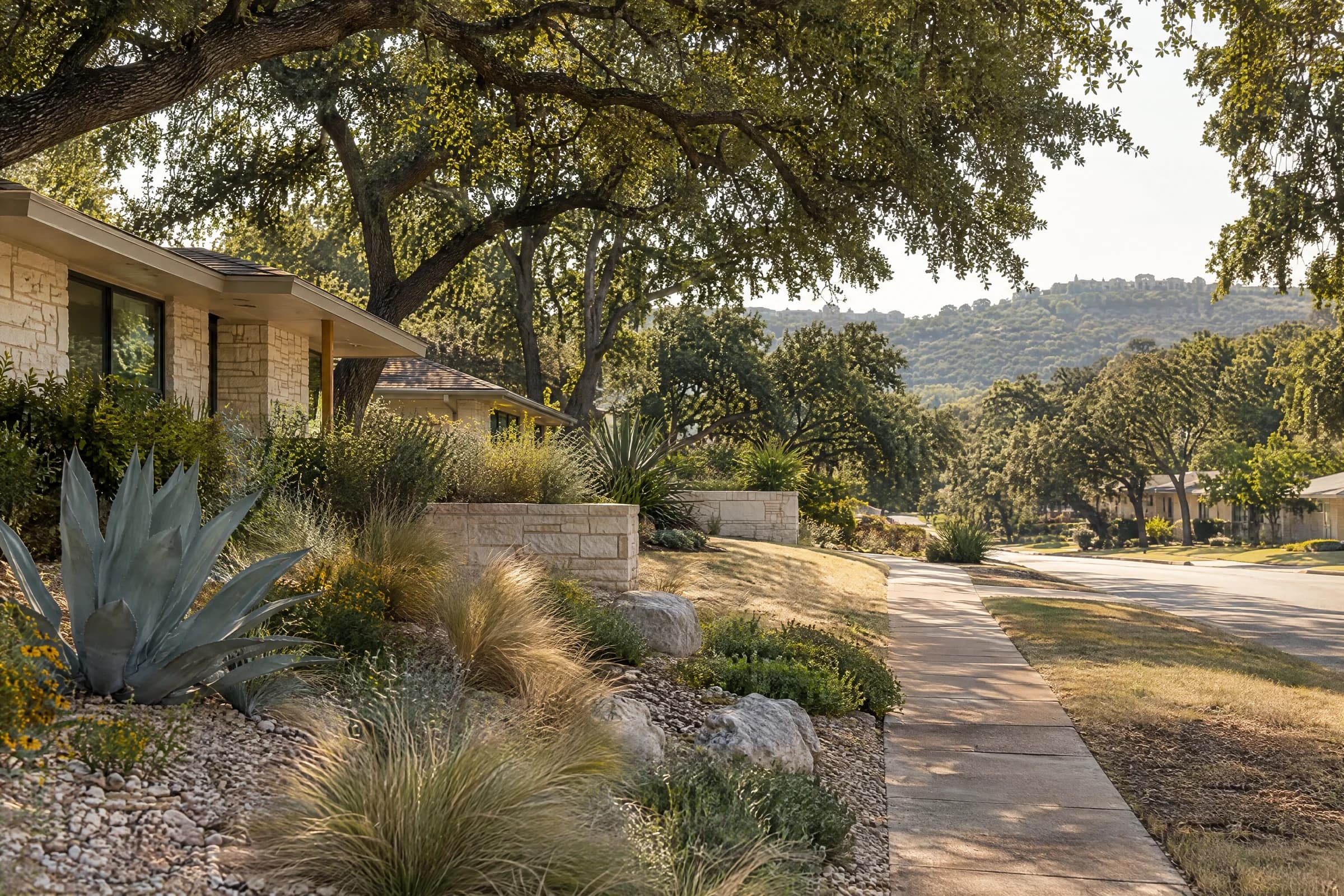 A xeriscaped front yard of agave, native grasses and crushed granite beside a sun-faded lawn on a quiet Austin street of limestone ranch houses in late-summer heat, a Hill Country ridge in the haze
