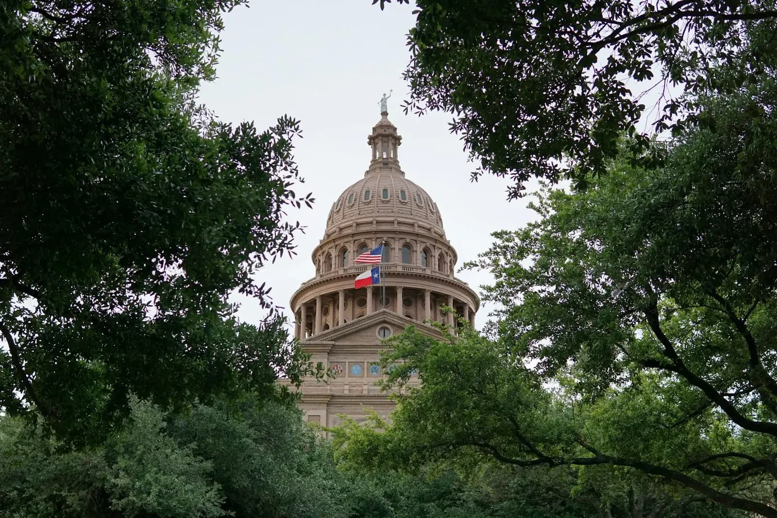 The Texas Capitol framed by the branches of mature trees