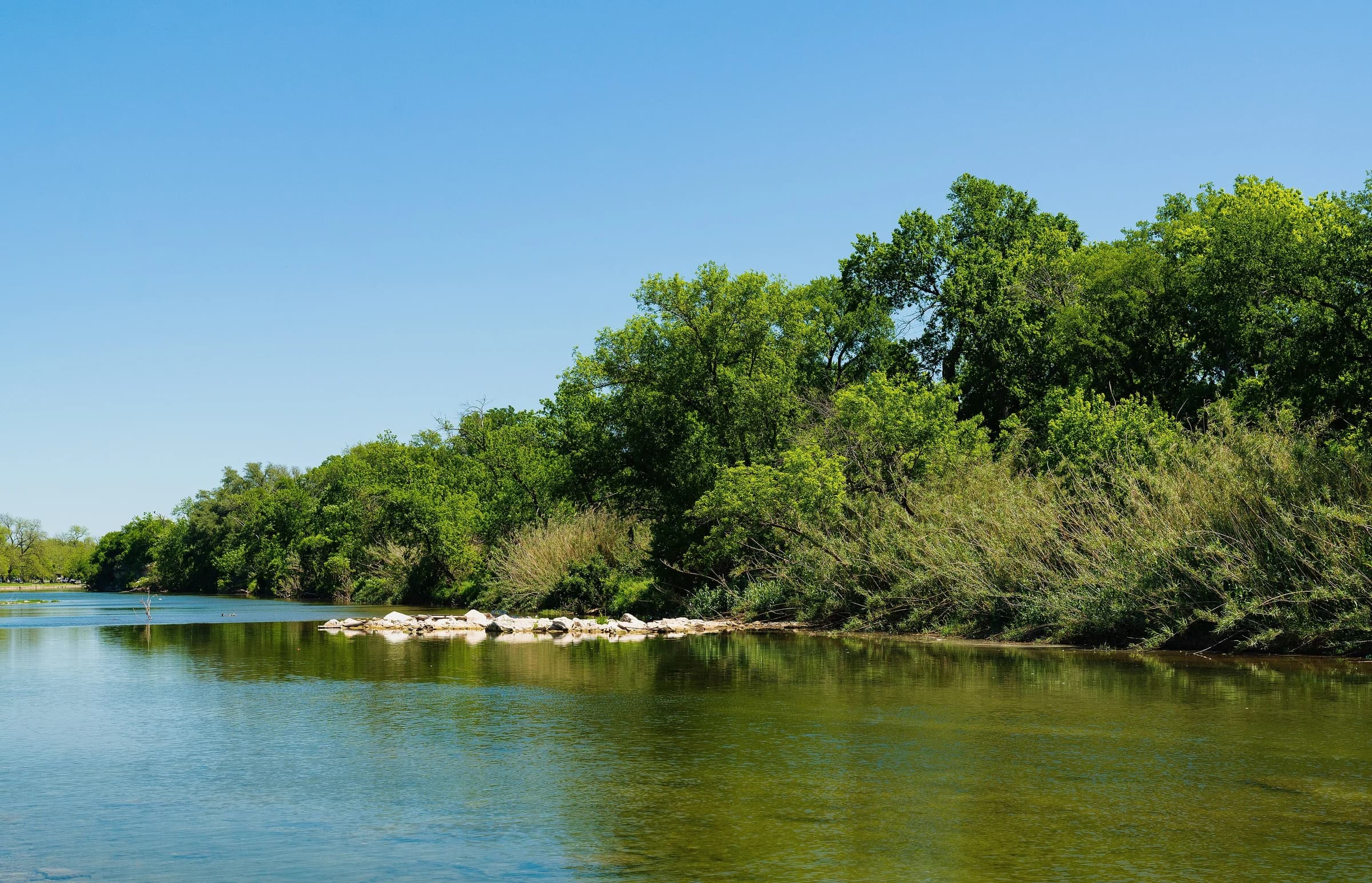The San Gabriel River curving past a bank of dense green trees and tall grasses at San Gabriel Park in Georgetown, Texas, on a clear spring day